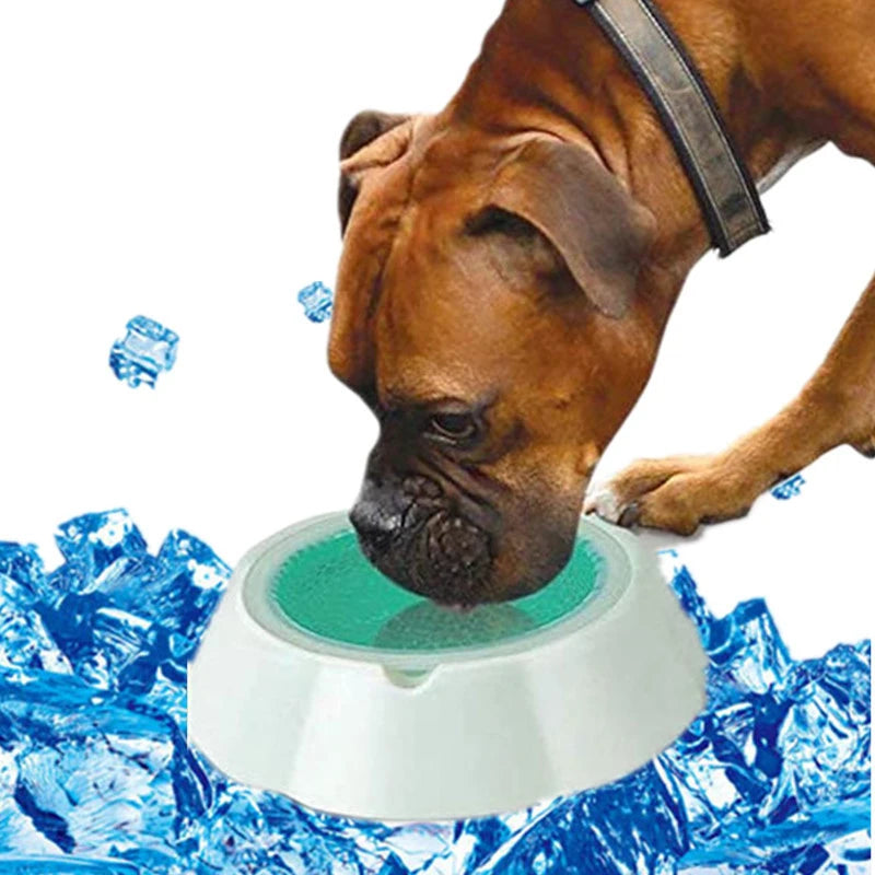 Bebedero refrescante para Perro/Gato