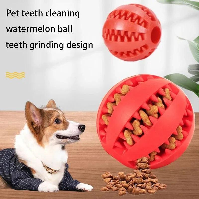 Pelota de Masticar para Perro Especial Dental l – 5CM Resistente e Interactiva de caucho natural