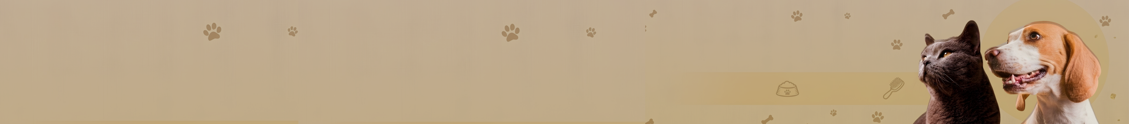 collection-banner-image